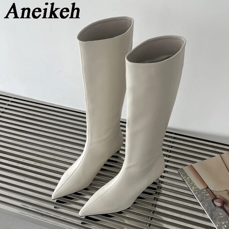 Aneikeh 2027 Fashion Sexy Poin - Women'S Fashion Knee High Boots recension och pris